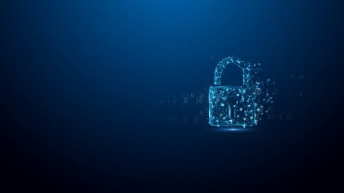 Kingston Technology IronKey 16GB D500S FIPS 140-3 Lvl 3 AES-256