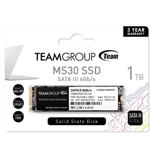 Team Group MS30 1 TB M.2 Serial ATA III