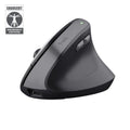 Trust Bayo II mouse Medical Right-hand RF Wireless Optical 2400 DPI