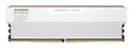 Klevv Urbane V RGB memory module 32 GB 2 x 16 GB DDR5 6000 MT/s 288-pin DIMM