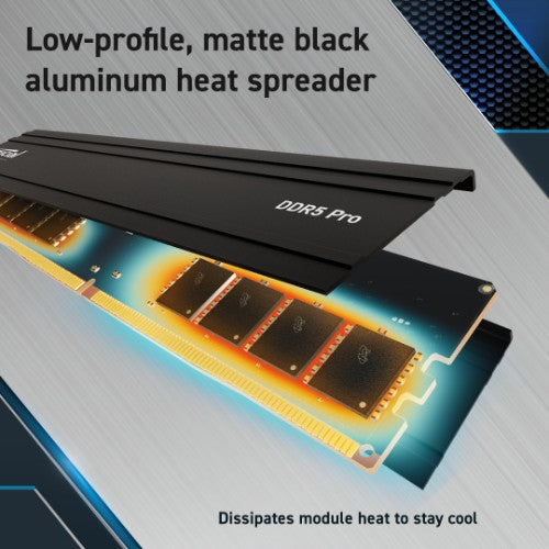 Crucial Pro CP48G56C46U5 memory module 48 GB 1 x 48 GB DDR5 288-pin DIMM