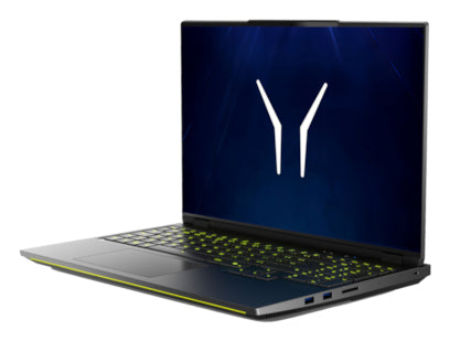ERAZER Beast 16 X15 (MD 600070) UK AMD Ryzen™ 9 8940HX Laptop 40.6 cm (16") Quad HD+ 32 GB DDR5-SDRAM 2 TB SSD NVIDIA GeForce RTX 5070 Ti Wi-Fi 6E (802.11ax) Windows 11 Home Black