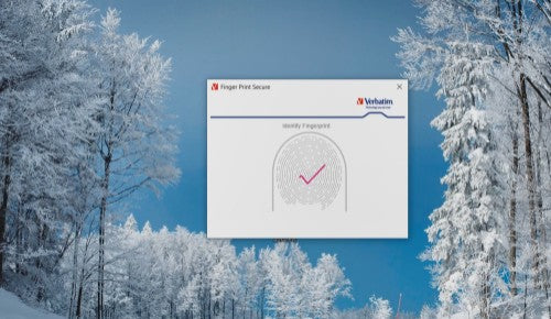 Verbatim FingerPrint Secure - USB 3.0 Drive with fingerprint scanner and AES-256 HW encryption to protect your data - 32 GB - Brown/Silver