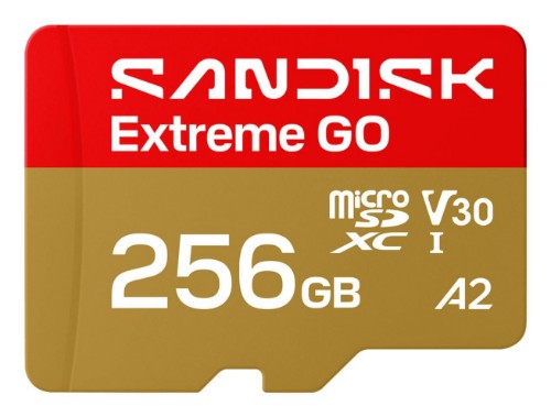 SanDisk Extreme GO 256 GB MicroSDXC UHS-I