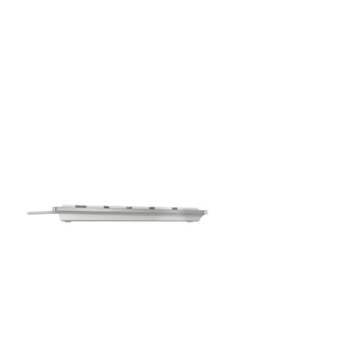 CHERRY KC 6000C FOR MAC keyboard Universal USB QWERTZ German Silver