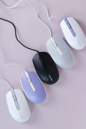 Canyon M-10 mouse Office Ambidextrous USB Type-A Optical 1000 DPI