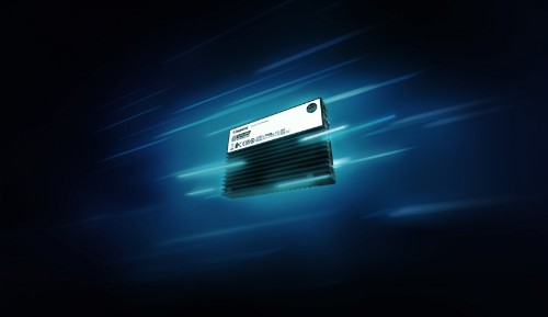 Kingston Technology 3.84TB DC3000ME U.2 PCIe 5.0 NVMe TCG Opal Enterprise SSD