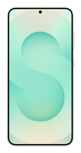 Samsung Galaxy S25+ 17 cm (6.7") Dual SIM Android 15 5G USB Type-C 12 GB 256 GB 4900 mAh Mint colour