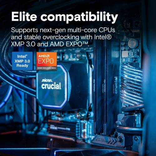 Crucial Pro CP2K16G64C32U5B memory module 32 GB 2 x 16 GB DDR5 6400 MT/s 288-pin DIMM